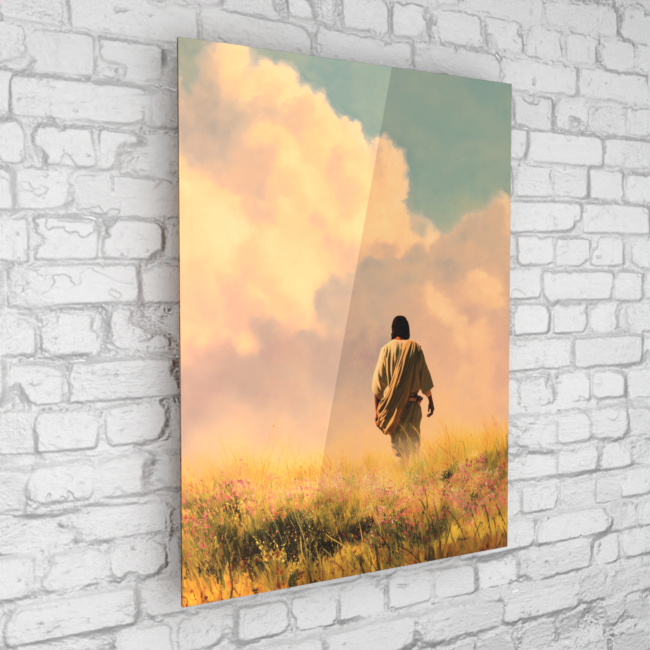 Journey Through the Fields